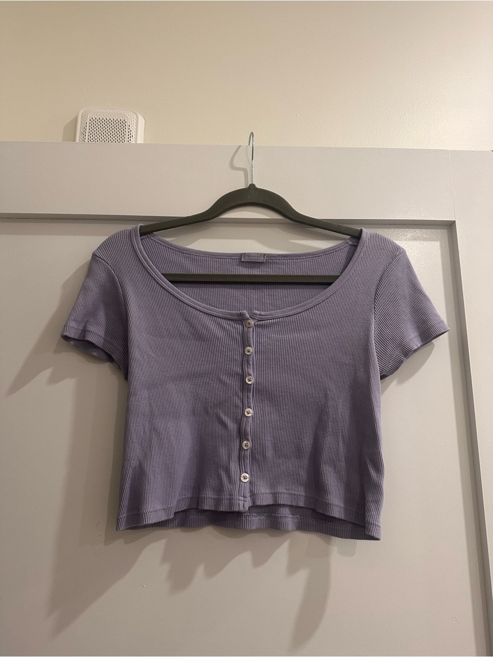 Brandy Melville/John Galt Lavender Ribbed Button Crop Top